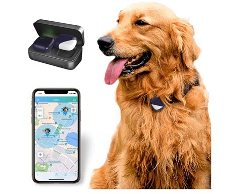 pet rfid tracker|best gps tracker for animals.